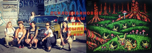 спайс Верея