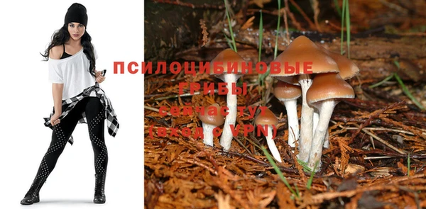 a pvp Верхний Тагил